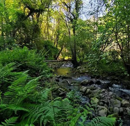 Sagasta Rural - Oviedo