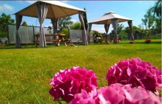 Sagasta Rural - * Oviédo