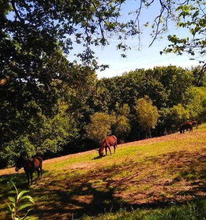 Sagasta Rural - Landhaus Oviédo